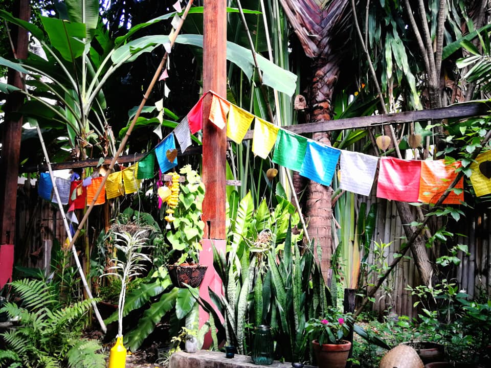 Wild Rose Yoga photo 9