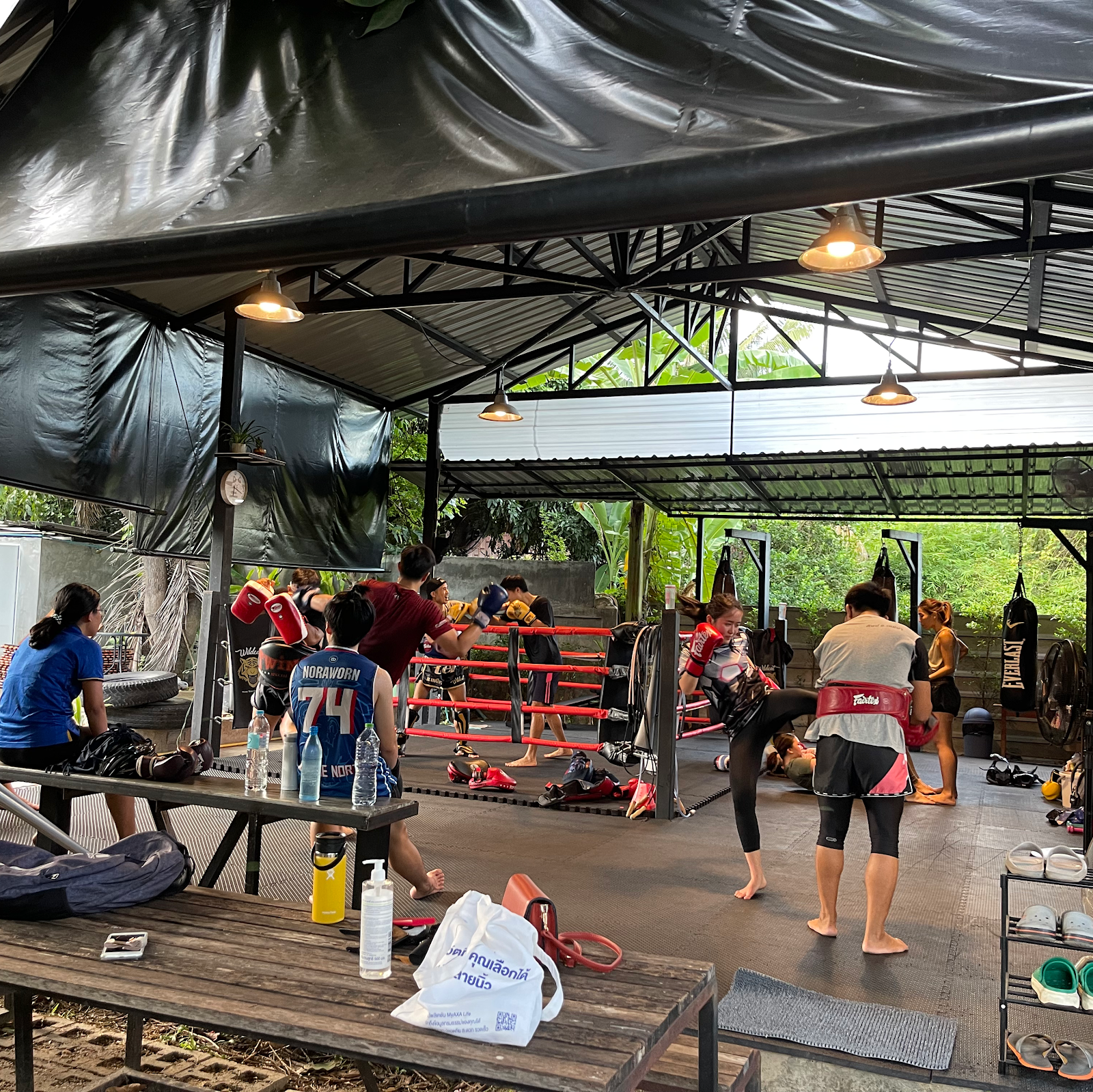 Wildcat Muay Thai ไวล์ดแคทมวยไทย