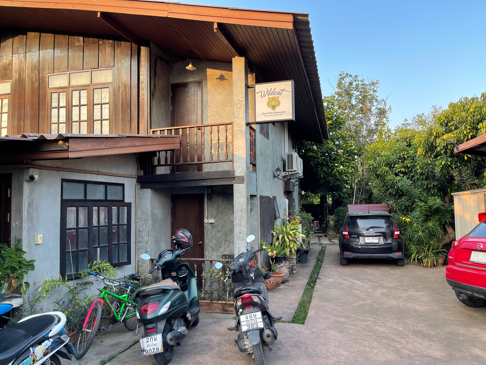 Wildcat Muay Thai ไวล์ดแคทมวยไทย photo 10