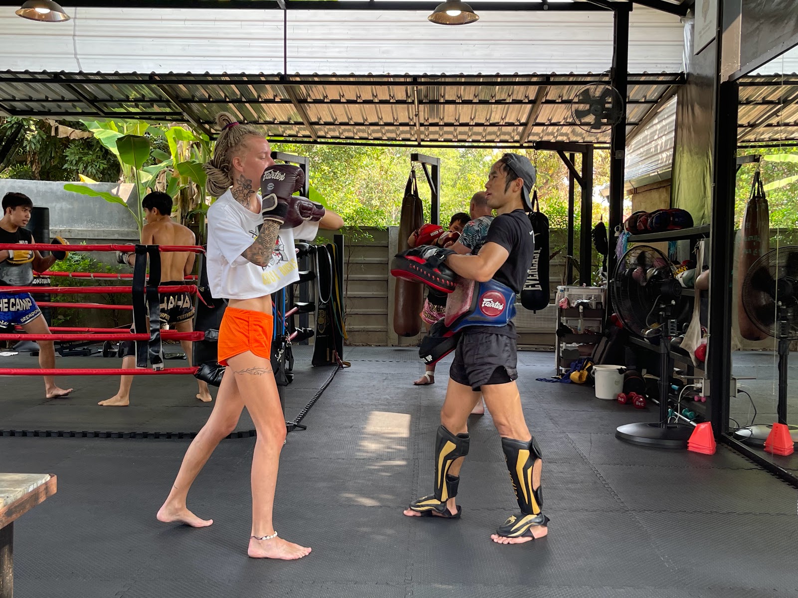 Wildcat Muay Thai ไวล์ดแคทมวยไทย photo 2