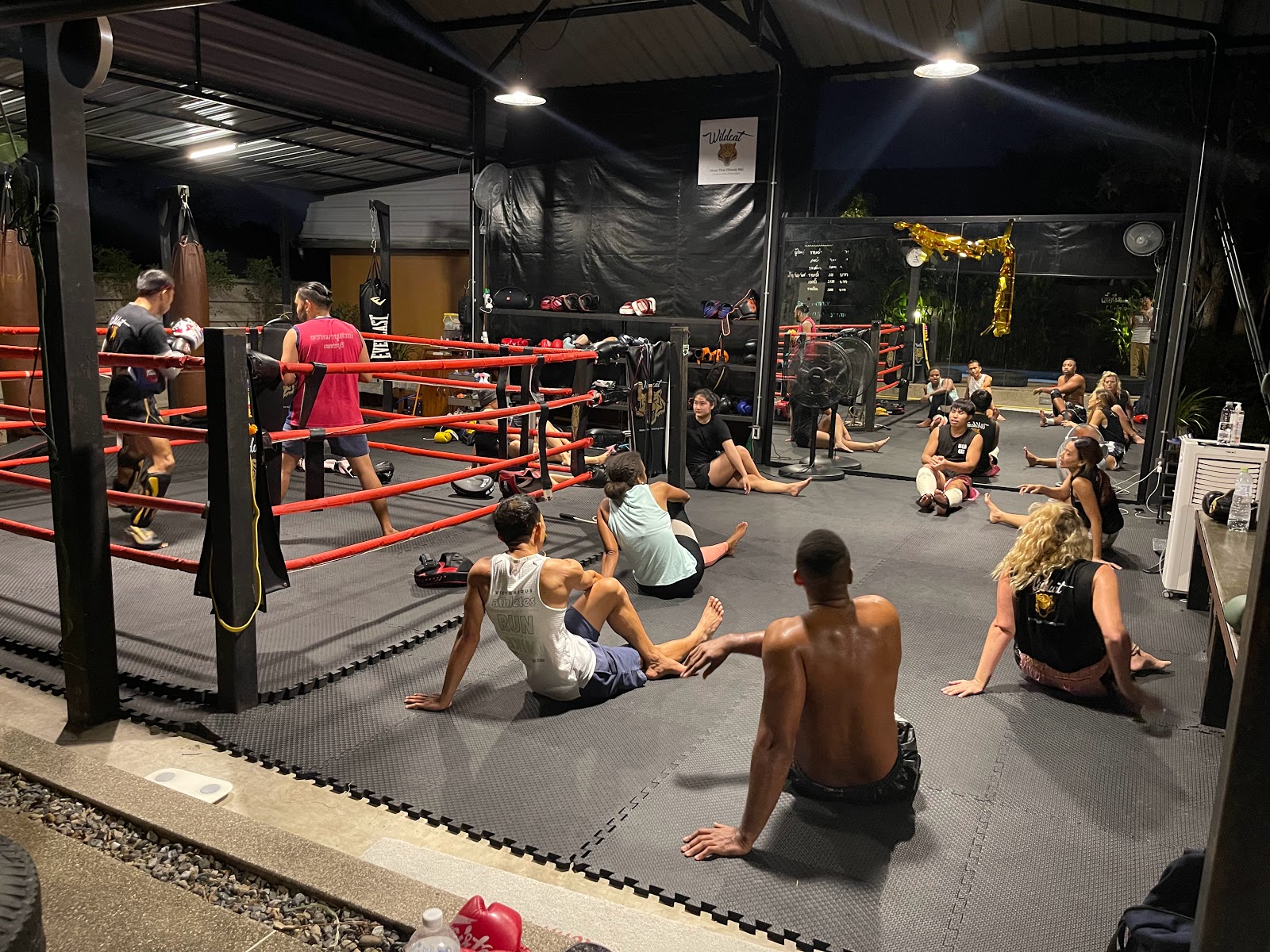 Wildcat Muay Thai ไวล์ดแคทมวยไทย photo 3