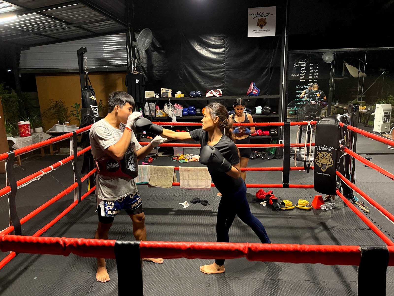 Wildcat Muay Thai ไวล์ดแคทมวยไทย photo 4
