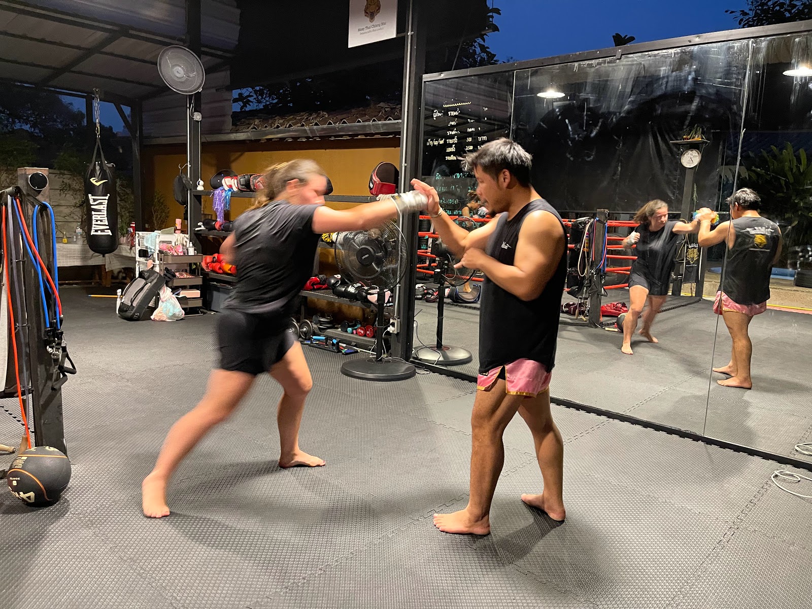 Wildcat Muay Thai ไวล์ดแคทมวยไทย photo 6