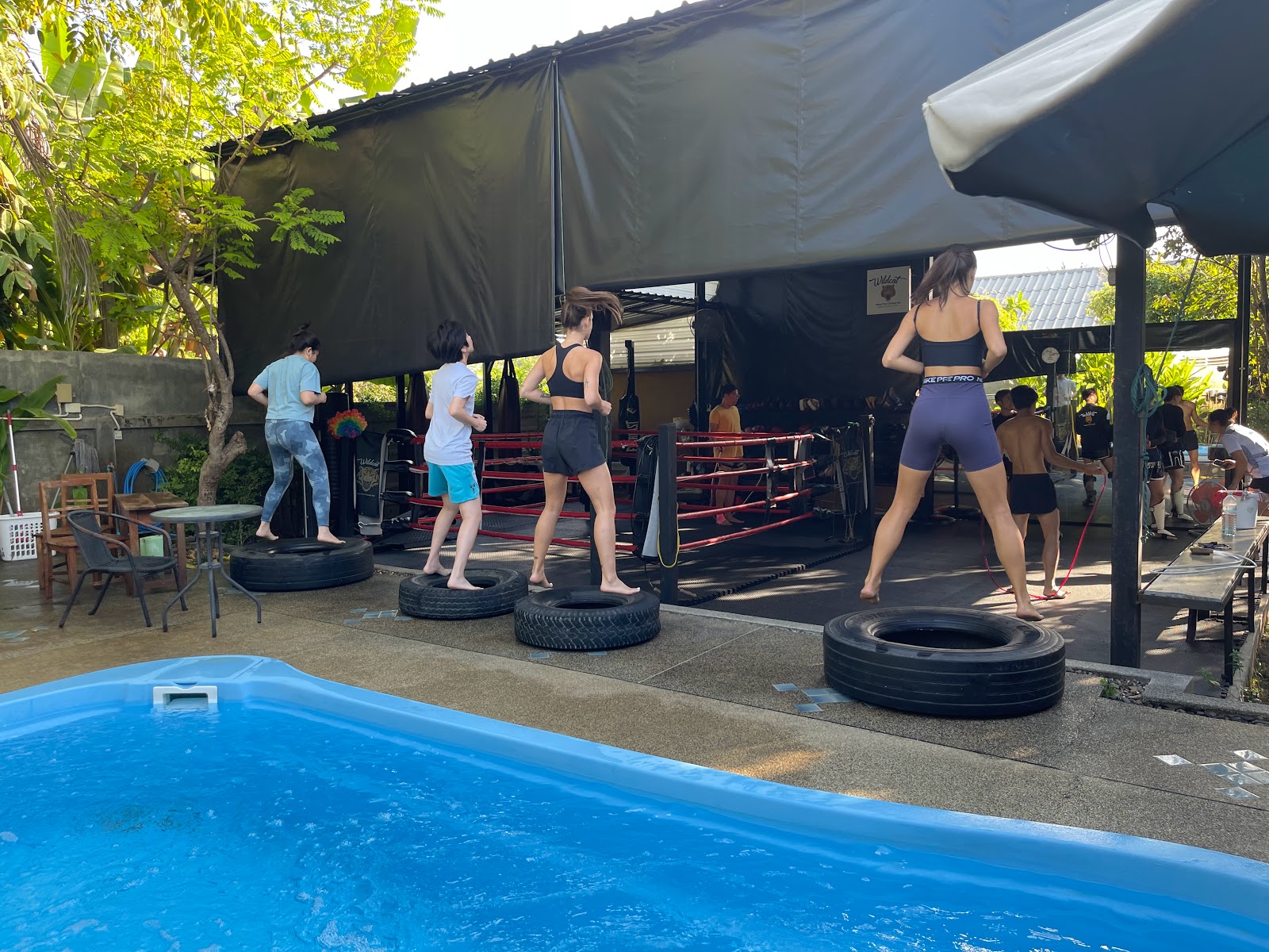 Wildcat Muay Thai ไวล์ดแคทมวยไทย photo 8