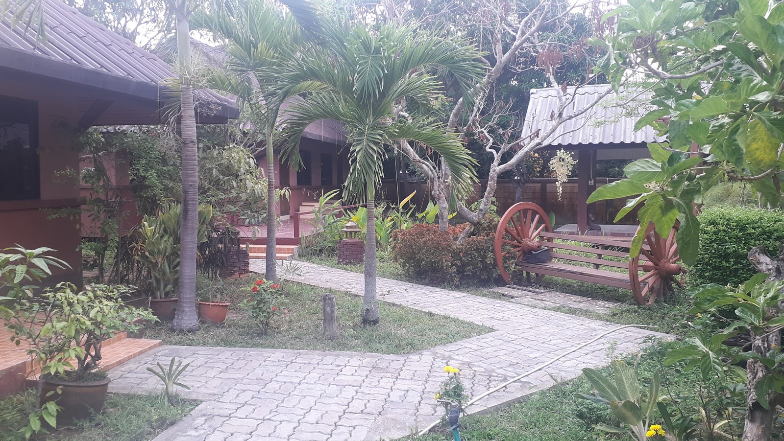 Wise Living Yoga Academy Thailand