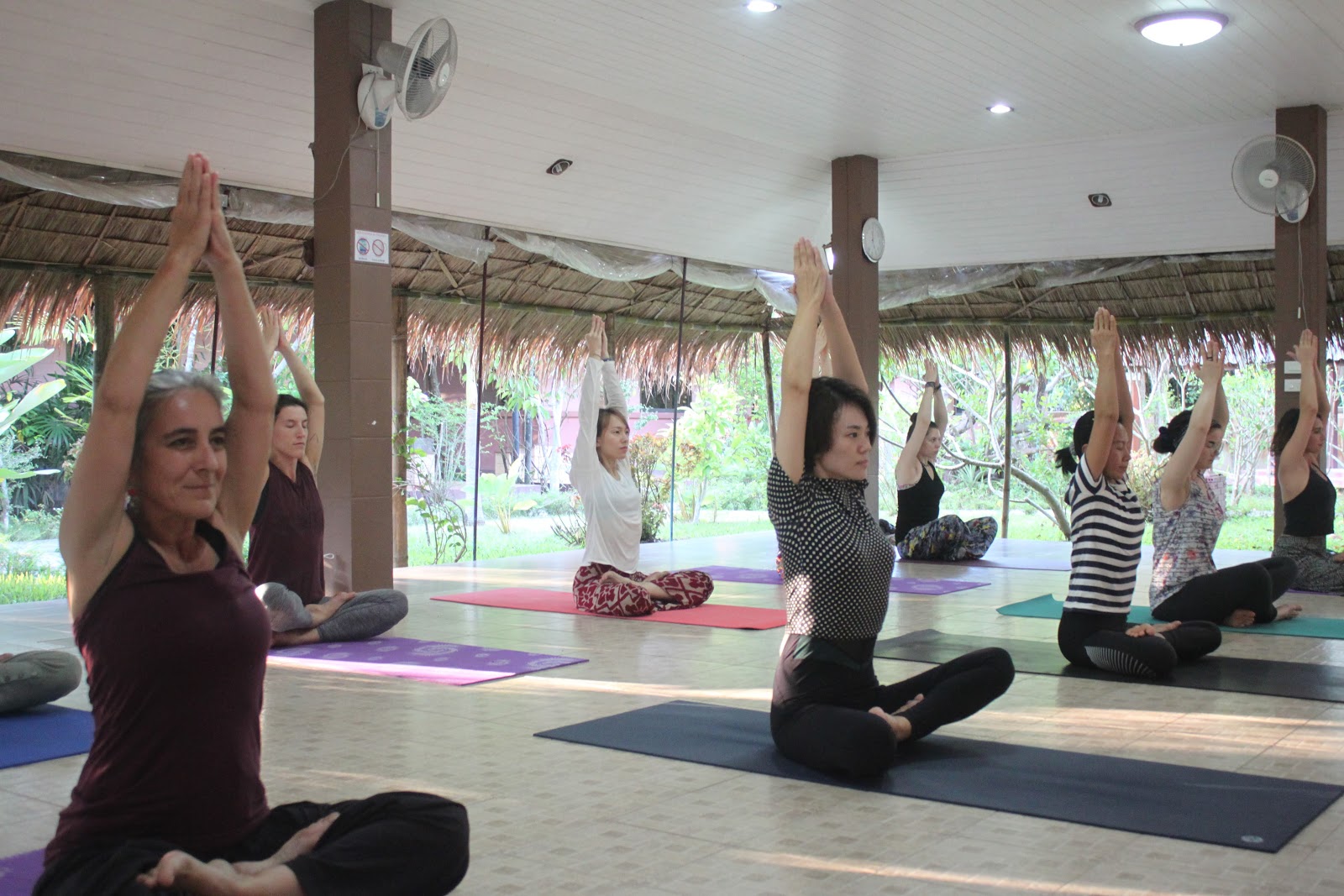 Wise Living Yoga Academy Thailand