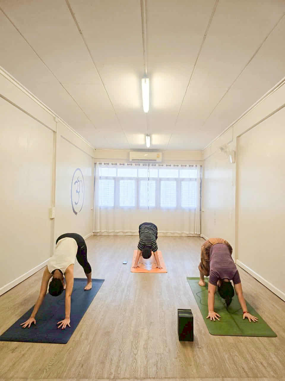 Yoga Into the Woods photo 5